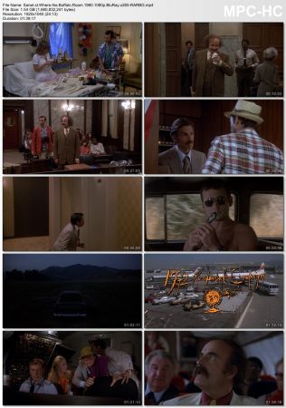 Where the Buffalo Roam 1980 1080p BluRay x265-RARBG