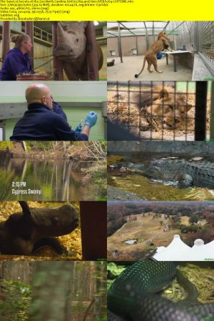 Secrets of the Zoo North Carolina S01 WEBRip AAC2.0 x264-CAFFEiNE