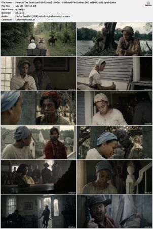 The Good Lord Bird 2020 S01 1080p SHO WEB-DL x265 HEVC 10bit EAC3 5.1 t3nzin
