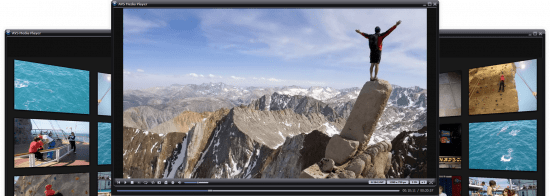 AVS Media Player 5.5.1.150