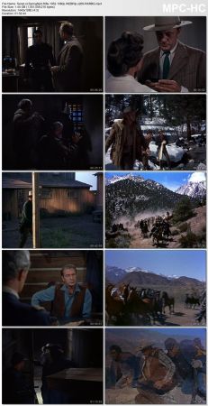 Springfield Rifle 1952 1080p WEBRip x265-RARBG