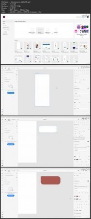 UI UX Adobe XD Masterclass: App designing guide to earning
