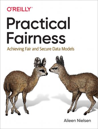 Practical Fairness: Achieving Fair and Secure Data Models (True EPUB)