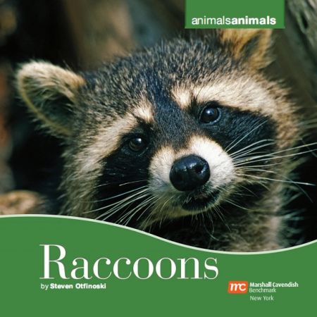 Raccoons (Backyard Safari)