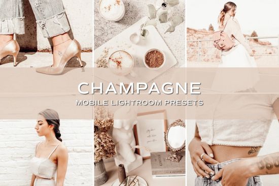 DesignOptimal CreativeMarket 5 Champagne Lightroom Presets 5701806