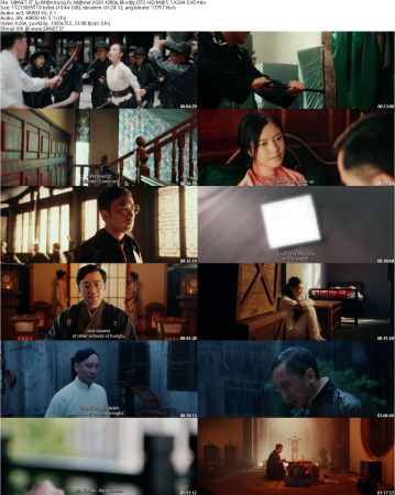 Ip Man Kung Fu Master 2020 1080p Bluray DTS-HD MA 5.1 x264-EVO
