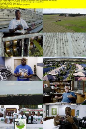 Curiosity TV - Bright Now: The Sweet and Sour of Florida Sugar (2020) 1080p HDTV x264 AAC MVGroup