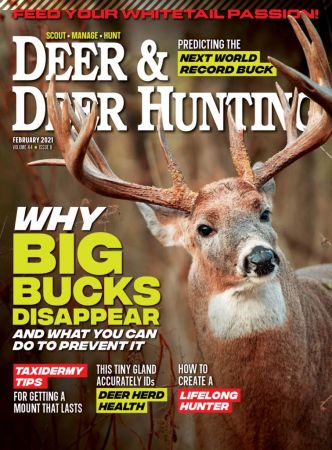 Deer & Deer Hunting   February 2021