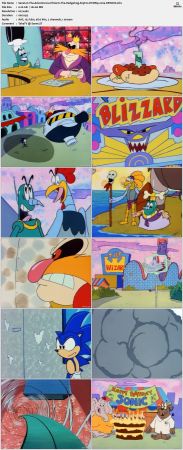 Adventures Of Sonic The Hedgehog S03 DVDRip x264-DEiMOS