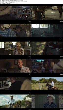 The Rodeo Thief 2021 1080p WEB-DL AAC2.0 x264-EVO