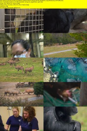Secrets of the Zoo North Carolina S01 720p WEBRip AAC2.0 x264-CAFFEiNE