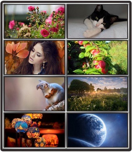 Collection wallpapers to your desktop #930