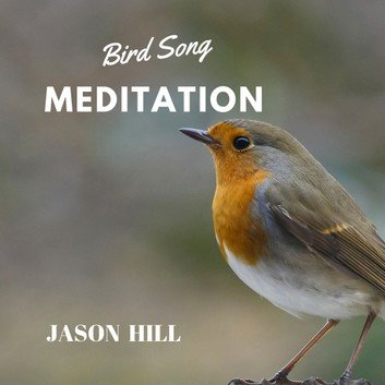 Bird Song Meditation [Audiobook]