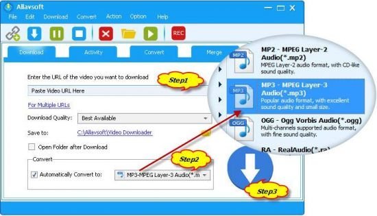 Portable Allavsoft Video Downloader Converter 3.23.2.7683 Multilingual