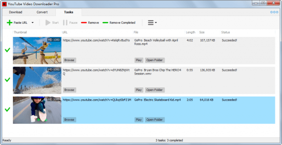 Robin YouTube Video Downloader Pro 5.26.3 Portable