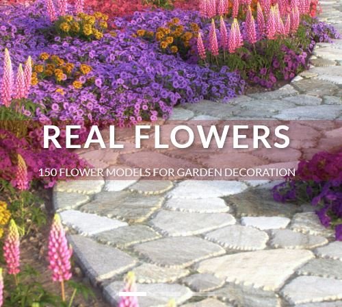 VIZPARK -  Real Flowers
