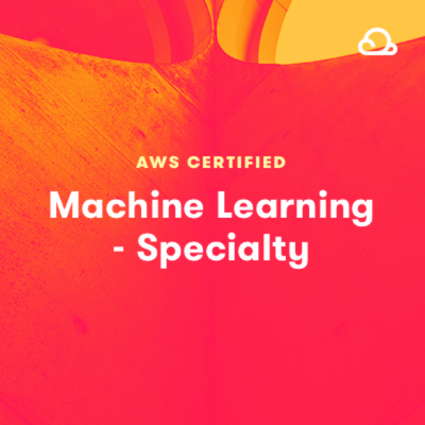 AWS-Certified-Machine-Learning-Specialty Online Test