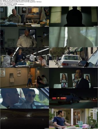 The Little Things 2021 HDRip XviD AC3-EVO
