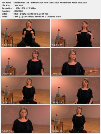 Meditation 101 with Cyndi Lee