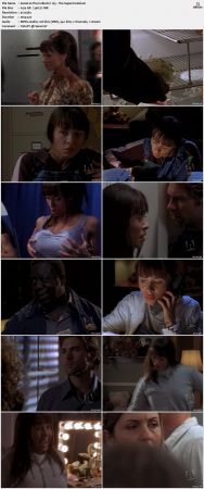 The Collector S01 DVDRip XViD-NOGRP