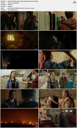 Trickster 2020 S01 720p BluRay x264-CARVED