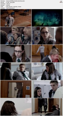 Wolfblood 2012 S01 720p AMZN WEBRip x264-IC