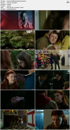 Wolfblood 2012 S04 720p AMZN WEBRip x264-IC