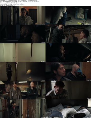 Goodbye Butterfly 2021 720p WEB-DL XviD AC3-FGT