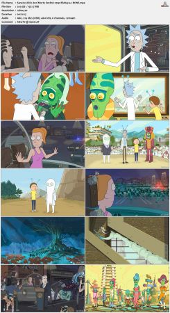 Rick And Morty S02 720p BluRay H264 5.1 BONE