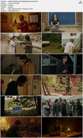 Trickster 2020 S01 BDRip x264-CARVED