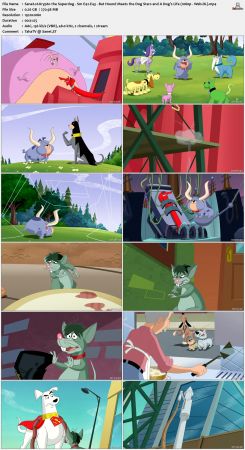 Krypto the Superdog S01 1080p Web-DL x264-NOGRP