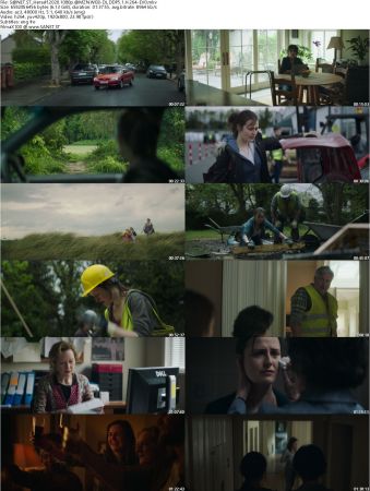 Herself 2020 1080p AMZN WEB-DL DDP5.1 H264-EVO