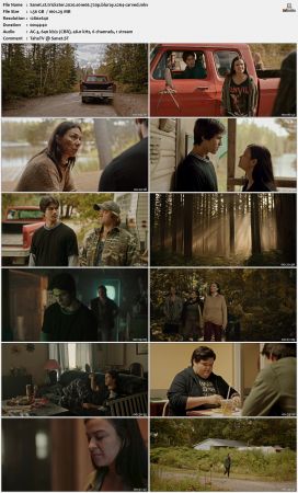 Trickster 2020 S01 720p BluRay x264-CARVED