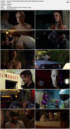 True Blood S03 BluRay 10Bit 1080p DD5.1 H265-d3g