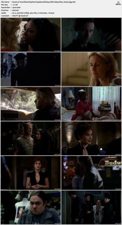 True Blood S05 BluRay 10Bit 1080p DD5.1 H265-d3g