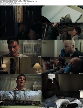 Goodbye Butterfly 2021 WEB-DL x264-FGT