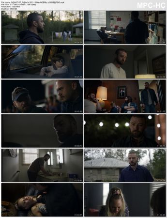 Palmer 2021 1080p WEBRip x265-RARBG