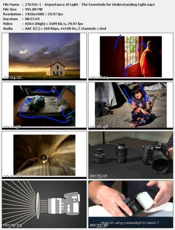 The Essentials for Understanding Light
