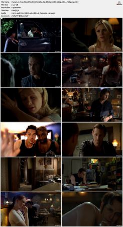 True Blood S03 BluRay 10Bit 1080p DD5.1 H265-d3g