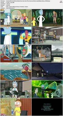 Rick And Morty S04 720p BluRay H264 5.1 BONE