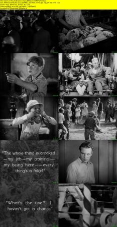 The Shakedown 1929 BRRip XviD MP3-XVID
