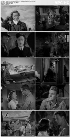 A Guy Named Joe 1943 1080p WEBRip x265-RARBG