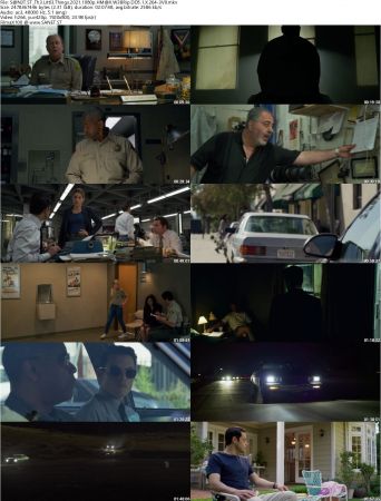 The Little Things 2021 1080p HMAX WEBRip DD5.1 X264-EVO