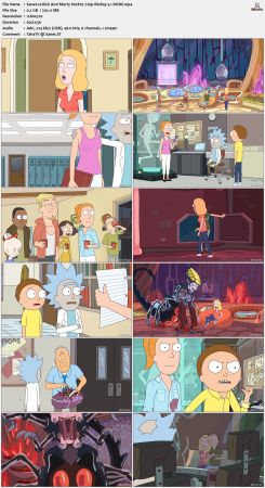 Rick And Morty S02 720p BluRay H264 5.1 BONE