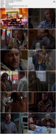 The Collector S01 DVDRip XViD-NOGRP