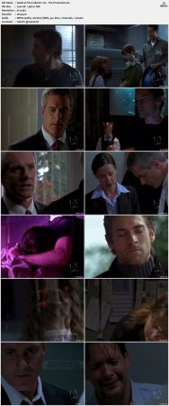 The Collector S01 DVDRip XViD-NOGRP