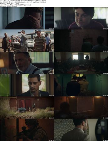 Redemption Day 2021 1080p WEBRip DD5.1 X264-EVO