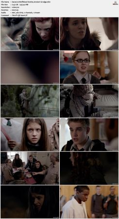 Wolfblood 2012 S02 720p AMZN WEBRip x264-IC