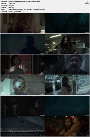 Swamp Thing S01 480p x264-mSD