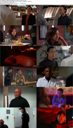 Agent Revelation 2021 WEB-DL x264-FGT
